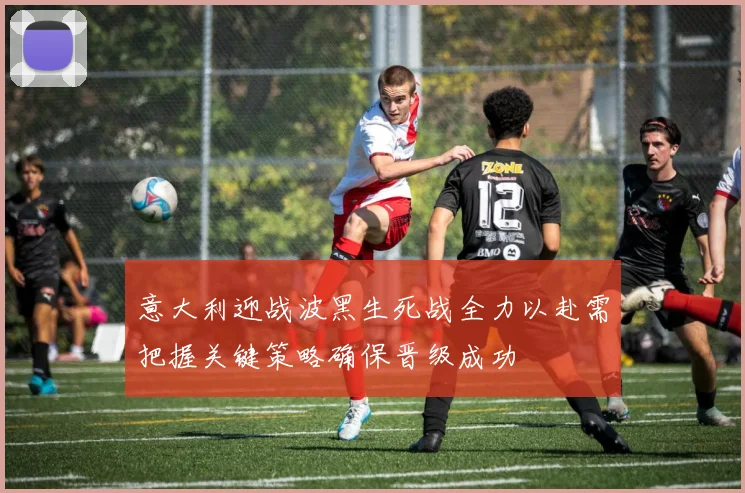 意大利迎战波黑生死战全力以赴需把握关键策略确保晋级成功